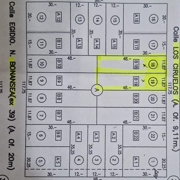 LOS CIRUELOS e/ CHAPUIS y MORENO