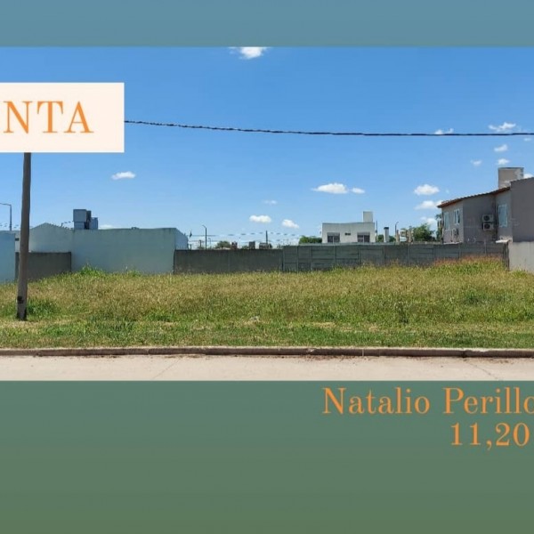 NATALIO PERILLO 887